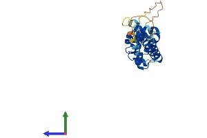 AlphaFold protein structure predicition of Mouse Recombinant Ccdc103 Protein, UniprotID Q9D9P2 (CCDC103 Protein (AA 1-237) (His tag))