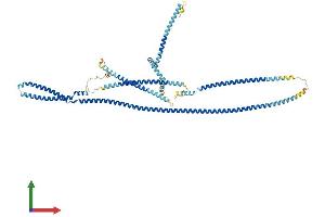 AlphaFold protein structure predicition of Human Recombinant CUX1 Protein, UniprotID Q13948