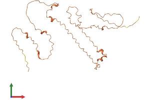 AlphaFold protein structure predicition of Human Recombinant KRTAP10-10 Protein, UniprotID P60014
