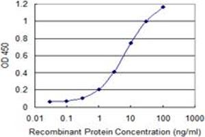 Detection limit for recombinant GST tagged TWIST1 is 0. (TWIST1 antibody  (AA 106-174))
