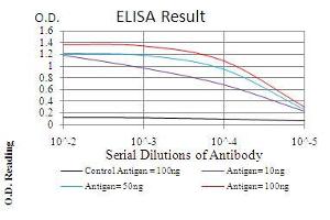 Black line: Control Antigen (100 ng), Purple line: Antigen(10 ng), Blue line: Antigen (50 ng), Red line: Antigen (100 ng), (HMMR antibody  (AA 306-497))