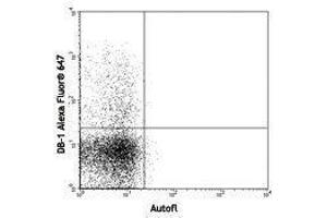 Flow Cytometry (FACS) image for anti-Interferon gamma (IFNG) antibody (Alexa Fluor 647) (ABIN2657936) (Interferon gamma antibody  (Alexa Fluor 647))