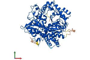 AlphaFold protein structure predicition of Mouse Recombinant Gclc Protein, UniprotID P97494