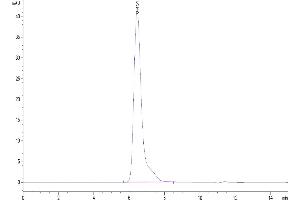 Size-exclusion chromatography-High Pressure Liquid Chromatography (SEC-HPLC) image for Inducible T-Cell Co-Stimulator Ligand (ICOSLG) (AA 19-258) protein (His-Avi Tag) (ABIN7273967)
