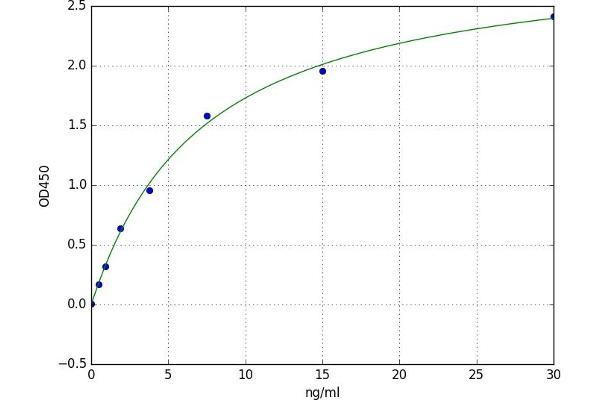 Anti-Nuclear Antibody (ANA) ELISA Kit