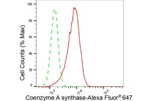 Flow cytometric analysis of Coenzyme A synthase expression in HepG2 cells using Coenzyme A synthase antibody (ABIN7798104), 1:2,000). (Recombinant COASY antibody)