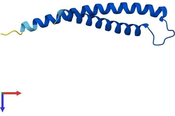 TIMM10 Protein (AA 1-90) (His tag)