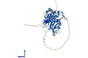 AlphaFold protein structure predicition of Mouse Recombinant Csnk1g3 Protein, UniprotID Q8C4X2 (CSNK1G3 Protein (AA 1-424) (His tag))
