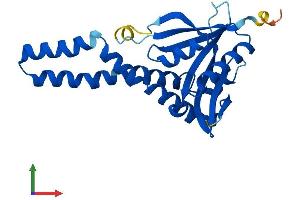 AlphaFold protein structure predicition of Human Recombinant NAT8B Protein, UniprotID Q9UHF3 (NAT8B Protein (AA 1-227) (His tag))