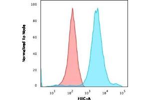Flow Cytometric Analysis of HEK293 cells using Neurofilament Mouse Monoclonal Antibody (NF421) followed by goat anti-Mouse IgG-CF488 (Blue); Isotype control (Red). (NEFH antibody)