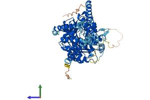 Protein Structure (PS) image for Hyaluronan Synthase 1 (HAS1) (AA 1-578) protein (His tag) (ABIN7554134)