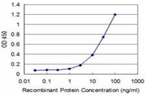 Detection limit for recombinant GST tagged LMO3 is approximately 3ng/ml as a capture antibody. (LMO3 antibody  (AA 91-146))