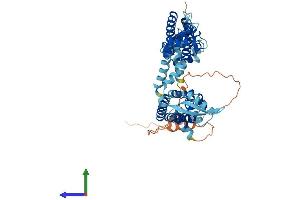 AlphaFold protein structure predicition of Human Recombinant KCNC1 Protein, UniprotID P48547