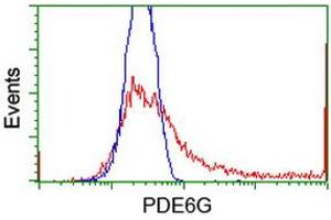 Flow Cytometry (FACS) image for anti-phosphodiesterase 6G, CGMP-Specific, Rod, gamma (PDE6G) antibody (ABIN1500095) (PDE6G antibody)