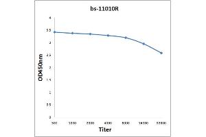 Antigen: 2 µg/100 µL  Primary: Antiserum, 1:500, 1:1000, 1:2000, 1:4000, 1:8000, 1:16000, 1:32000;  Secondary: HRP conjugated Rabbit Anti-Goat IgG at 1: 5000;  TMB staining Read the data in Microplate Reader by 450nm. (FAM84A antibody  (AA 151-250))