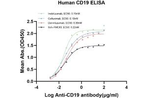 Immobilized Human CD19 Protein at 5 μg/mL can bind different Anti-CD19 Antibodies with high affinity. (CD19 Protein (AA 20-291) (His tag))