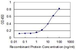 Detection limit for recombinant GST tagged MPND is 0. (MPND antibody  (AA 84-181))