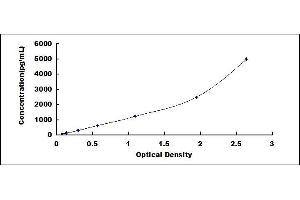 Typical standard curve (S100A12 ELISA Kit)