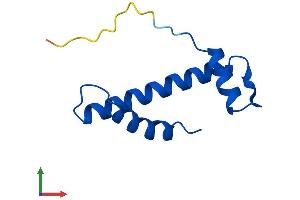 AlphaFold protein structure predicition of Human Recombinant CENPW Protein, UniprotID Q5EE01 (CENPW Protein (AA 1-88) (His tag))