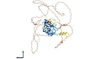 AlphaFold protein structure predicition of Human Recombinant SOCS6 Protein, UniprotID O14544 (SOCS6 Protein (AA 1-535) (His tag))