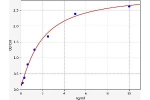 PRKACB ELISA Kit