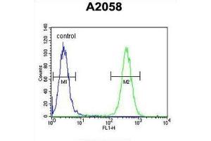 Flow Cytometry (FACS) image for anti-FK506 Binding Protein 10, 65 KDa (FKBP10) antibody (ABIN3003179)