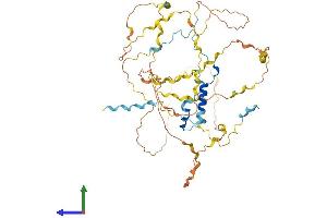 AlphaFold protein structure predicition of Human Recombinant WIPF1 Protein, UniprotID O43516