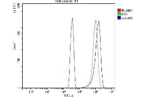 Flow Cytometry analysis of Hela cells using anti-Caspase-9/CASP9 antibody (ABIN7600340). (Caspase 9 antibody  (AA 18-416))