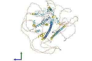 Protein Structure (PS) image for Myelin Transcription Factor 1 (MYT1) (AA 1-1121) protein (His tag) (ABIN7554666)
