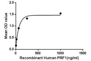 Binding activity of PRF1 with CRT. (Perforin 1 Protein)