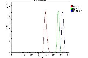 Flow Cytometry analysis of HEL cells using anti-PSMB4 antibody (ABIN7600532).