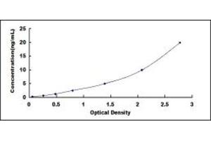 Typical standard curve (MMP 9 ELISA Kit)