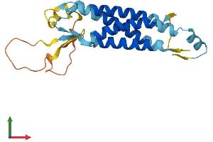 AlphaFold protein structure predicition of Mouse Recombinant Lhfpl2 Protein, UniprotID Q8BGA2