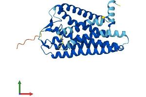 AlphaFold protein structure predicition of Human Recombinant OR8D1 Protein, UniprotID Q8WZ84