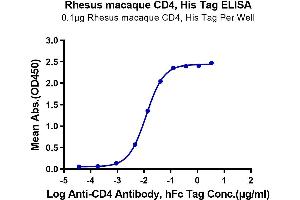 Immobilized Rhesus macaque CD4, His Tag at 1 μg/mL (100 μL/Well) on the plate. (CD4 Protein (CD4) (AA 26-390) (His tag))