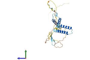 AlphaFold protein structure predicition of Mouse Recombinant Hes1 Protein, UniprotID P35428