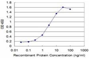 Detection limit for recombinant GST tagged PTTG1 is approximately 0. (PTTG1 antibody  (AA 1-100))