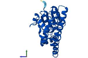 Protein Structure (PS) image for Glutathione S-Transferase alpha 1 (GSTA1) (AA 1-222) protein (His tag) (ABIN7548106)