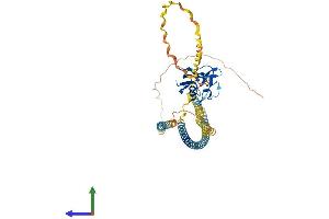 AlphaFold protein structure predicition of Mouse Recombinant Msr1 Protein, UniprotID P30204 (Macrophage Scavenger Receptor 1 Protein (MSR1) (AA 1-458) (His tag))