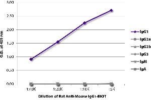 ELISA plate was coated with purified mouse IgG1, IgG2a, IgG2b, IgG3, IgM, and IgA. (Rat anti-Mouse IgG1 Antibody (Biotin))