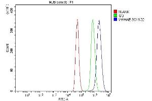 Flow Cytometry analysis of NRK cells using anti-YWHAE antibody (ABIN7599165). (YWHAE antibody  (AA 1-255))