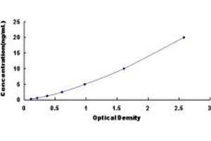 Typical standard curve (SUMO2 ELISA Kit)