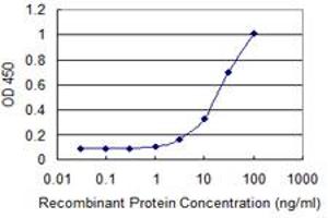 Detection limit for recombinant GST tagged ASCC2 is 1 ng/ml as a capture antibody. (ASCC2 antibody  (AA 672-757))
