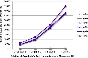 FLISA plate was coated with purified human IgGκ, IgMκ, IgAκ, IgGλ, IgMλ, and IgAλ. (Goat anti-Human lambda (Chain lambda) Antibody (PE) - Preadsorbed)