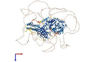 AlphaFold protein structure predicition of Human Recombinant FAM135B Protein, UniprotID Q49AJ0 (FAM135B Protein (AA 1-1406) (His tag))