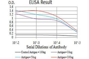 Black line: Control Antigen (100 ng);Purple line: Antigen (10ng); Blue line: Antigen (50 ng); Red line:Antigen (100 ng) (DOC2A antibody  (AA 652-749))