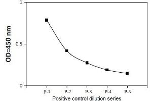 HeLa cells were treated with MG132. (Hydroxylated HIF-1 alpha (P402) ELISA Kit)