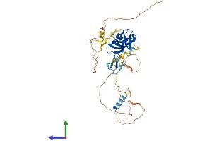AlphaFold protein structure predicition of Mouse Recombinant Stac2 Protein, UniprotID Q8R1B0 (STAC2 Protein (AA 1-408) (His tag))