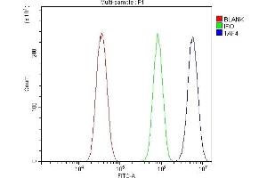 Flow Cytometry analysis of Hela cells using anti-TAF4 antibody (ABIN7602114).