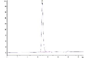 The purity of Human CD21 is greater than 95 % as determined by SEC-HPLC. (CD21 Protein (AA 21-971) (His tag))